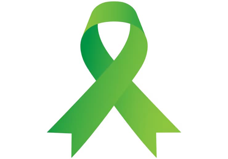 Green Ribbon Campaign