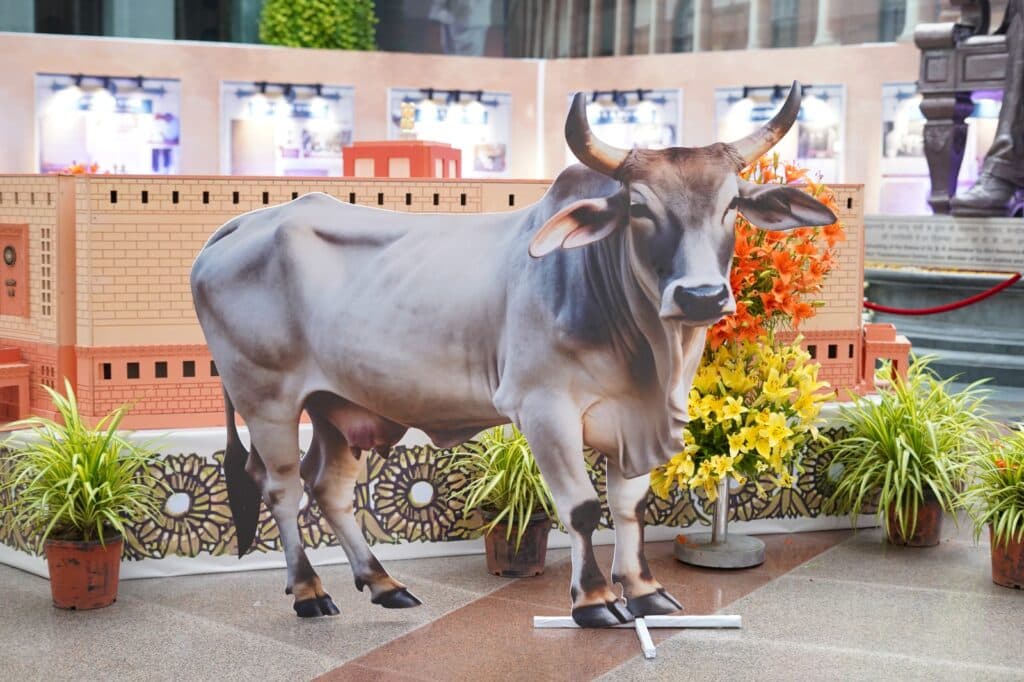 Livestock